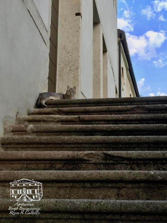 Agriturismo Borgo Buzzaccarini Rocca Di Castello Monselice Bagian luar foto